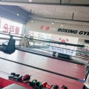 치악복싱체육관 이미지