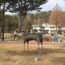 치킨퐁석사다온점 Daum카페