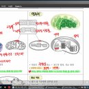 (아이캔노트와 스노우)를 이용한 재미난 온라인 강의 영상 제작 이미지