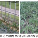 신농팜케미컬 이미지