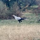 새서부시장 공중화장실 | 세렝게티 사파리 당일치기 가능할까?｜<탄자니아 외노자의 리얼 생존 후기>