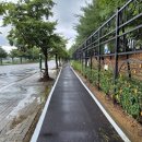 자전거 도로 이미지