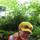 남도약수터 이미지