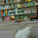 샘밭약국 이미지