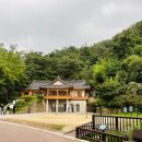 호랭이카 이미지