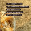 바늘놀이터