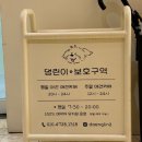 댕린이 보호구역 이미지