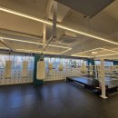 더 프리미엄 복싱 이미지