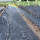 고수농장 이미지