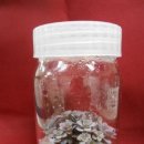 농업기술원 앞 이미지