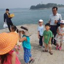 광명초등학교 Daum카페