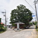 조성신도비 이미지