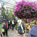 우주과학 어린이집 이미지