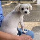 깔끔이세차장 이미지