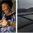 전장포젓갈 이미지