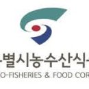 서울시 송파구 농수산식품공사 네이버블로그