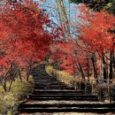 달이 비추는 곳 이미지