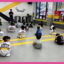 용인대대영태권도 이미지