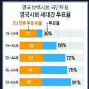 브렉시트, 영국사회 세대간 투표율 이미지