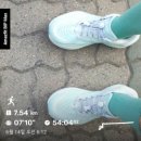 레일리 | 차오단 레일리 1.0 - 160km 사용 후기, 차오단의 로또 신발