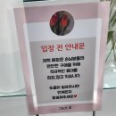 꽃;그순간 | 범계역 가성비 24시간 꽃집 • 안 무서운 꽃집 • 화훼경매권 보유 '그순간, 꽃' 내돈내산 또간집 후기