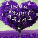 참들농장 이미지