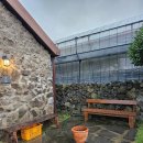 도토리 하우스 | 제주도게스트하우스 모든 게 만족했던 도토리게스트하우스 이용 후기