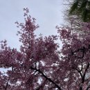 Art cafe「연인」 | 【여행】 일본 큐슈, 『바다가 들리는 편의점』으로 떠난 여행(6) 마지막 이야기 - 후쿠오카 라라포트...