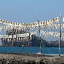 어촌목장 이미지