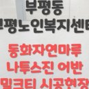 신아디엔씨