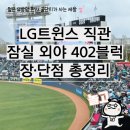 트윈스 | 잠실야구장 외야그린석 402 블럭 LG트윈스 직관 후기