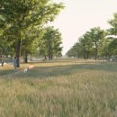 국회대로 이미지