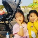 은비랜드 이미지