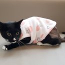 선화로8길 이미지