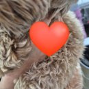 견우동물병원 이미지