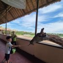 이산프라자2 | 아이와 방콕 갈만한곳 BEST5, 직접 다녀온 가족여행 추천코스 총정리!