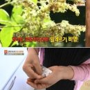 알레르기 이미지