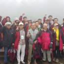 (주)한주항공여행사