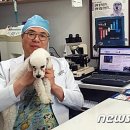 삼산종합동물병원 이미지