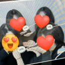 도당도서관 | 2026 햅비뉴이얼