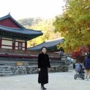 수림결혼정보 이미지