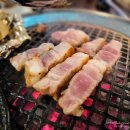 성공시대팔팔추어탕 | 10월 셋째주 혜쯔픽 맛집 Best 4