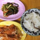 삼중탕 네이버블로그