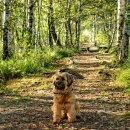 우아한세탁 이미지