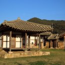 김삿갓초장 이미지