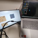 크로비스 이미지