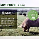 에쓰팜목장 네이버블로그
