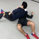 골드레슬링 이미지