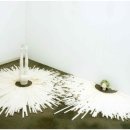 안상철미술관 이미지