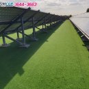 대신 태양광발전소 이미지